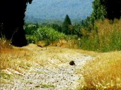 خیلی خیلی کوچک (1) (نبرد سوسکی)